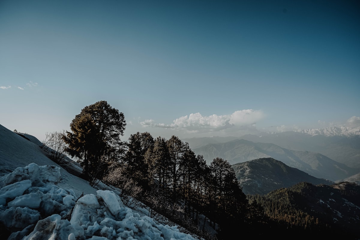 Shqipëria e 2030: Një Vizion për Diasporën