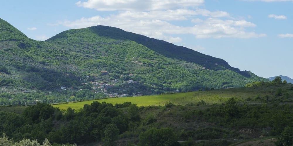 Pse po braktisin fermerët tokën?