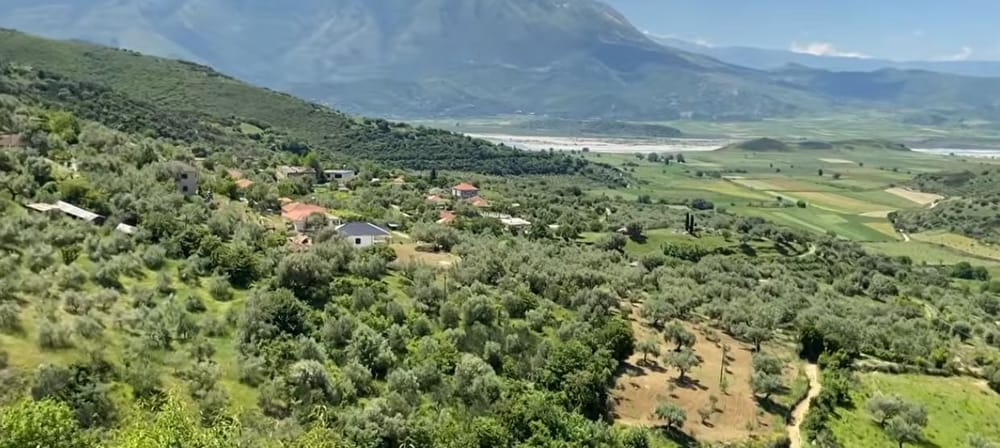 Si mbijetojnë të moshuarit në Çorrush me bimët medicinale?