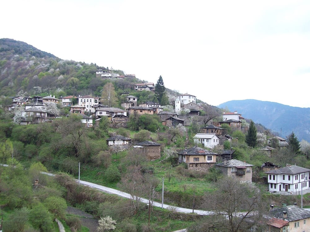 Si performoi Dafina Zeqiri shtatzënë në Alba Festival?