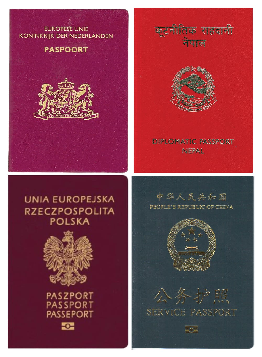 Pse po lustre media realitetin e punëtorëve migrantë në Shqipëri?