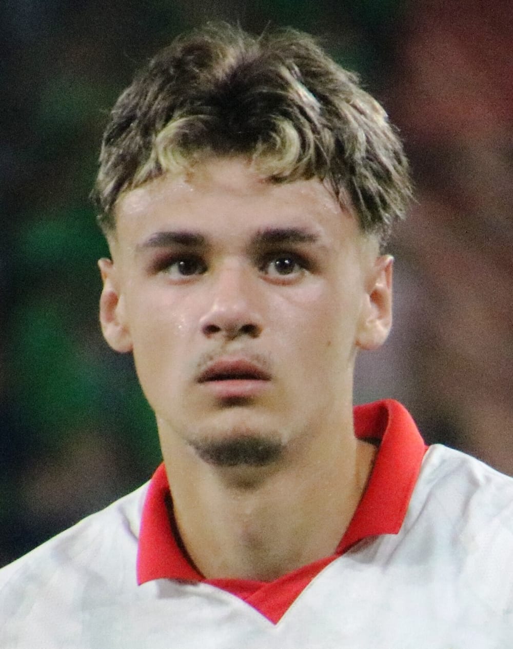Pse mahni Ibrahimovic me 18-vjeçarin Alajbegovic?