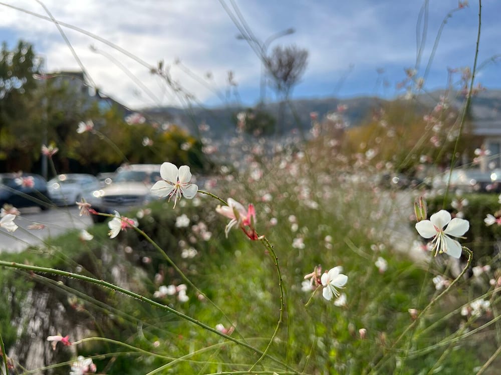 Çfarë shkaktoi bllokimin e rrugëve në Gjirokastër pas stuhisë së fortë?
