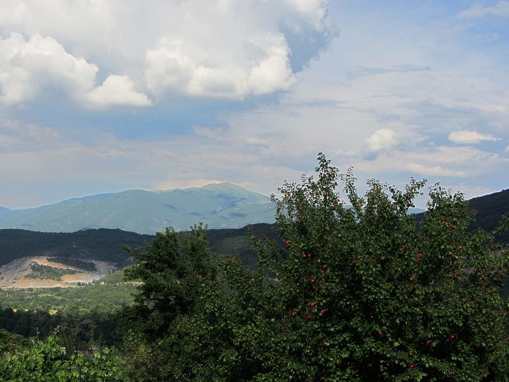 Çfarë i ndodhi 22-vjeçarës nga Gostivari që denoncoi partnerin për dhunë?