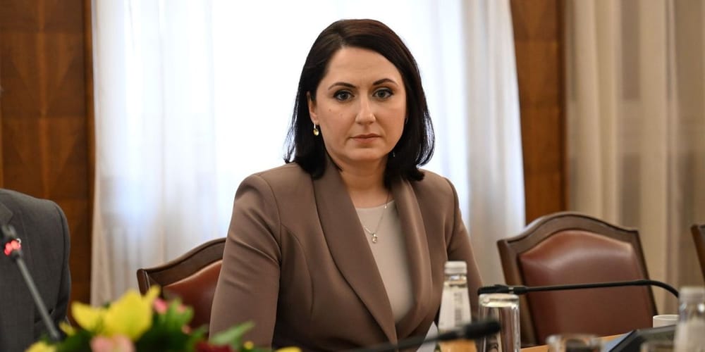 Pse pyetja e deputetes shqiptare u përkthye vetëm në maqedonisht?