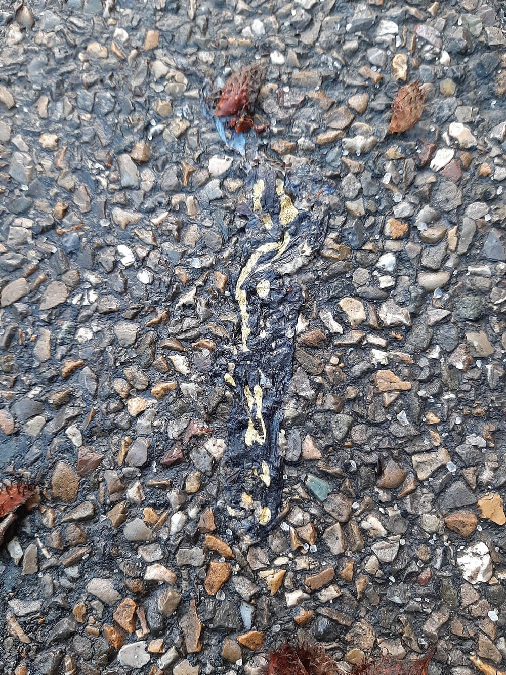 Çfarë ndodhi në aksidentin midis motorit dhe veturës në Qafë?
