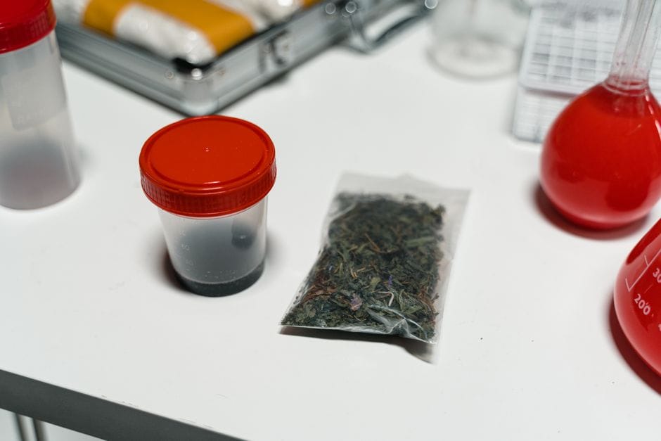 Si u sekuestruan 18 kilogramë marihuanë në Kaçanik?