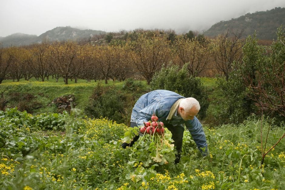 Sa vlen mbështetja për fermerët organikë në Shqipëri?
