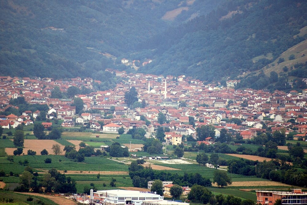 Si konsolidoi Aleanca për Shqiptarët strukturat në Bogovinë?