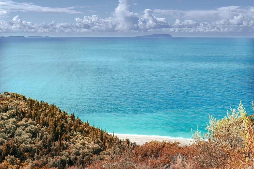 Çfarë kërkon Andis Salla nga bizneset e Vlorës për sigurinë ushqimore?
