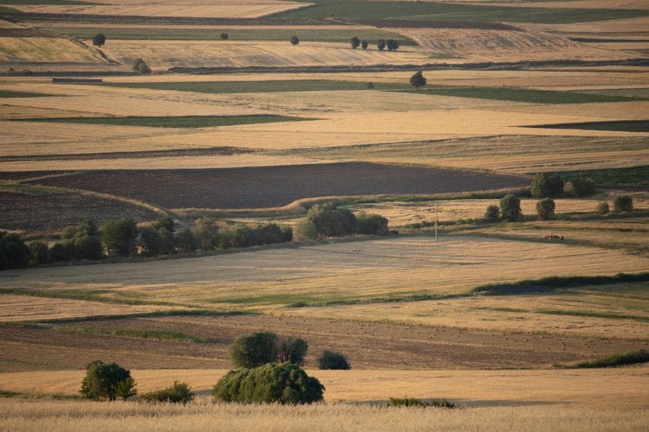 ASK: Mbi 6 mijë hektarë tokë bujqësore mbetën djerrinë më 2025