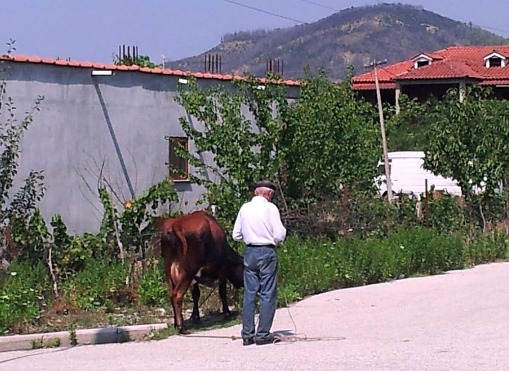 Çfarë transformimi po ndodh në Ujërat Termale të Bënjës?