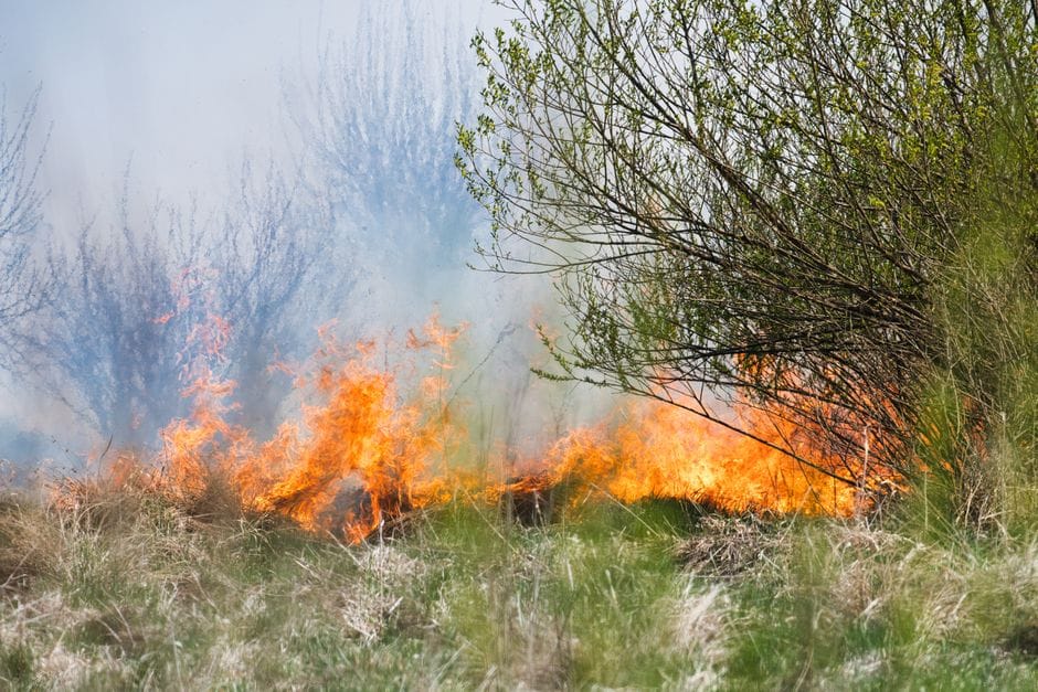 14 zjarre në Maqedoni, 5 aktive: ku flaken ende?