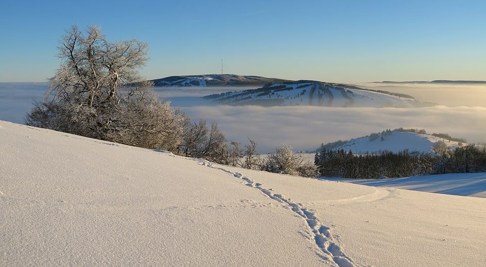 Vala e të nxehtit rekord në Gjermani dhe lëvizja drejt lindjes