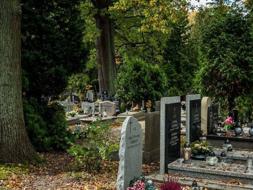 Burrat vdesin 4.4 vjet para grave në Maqedoni