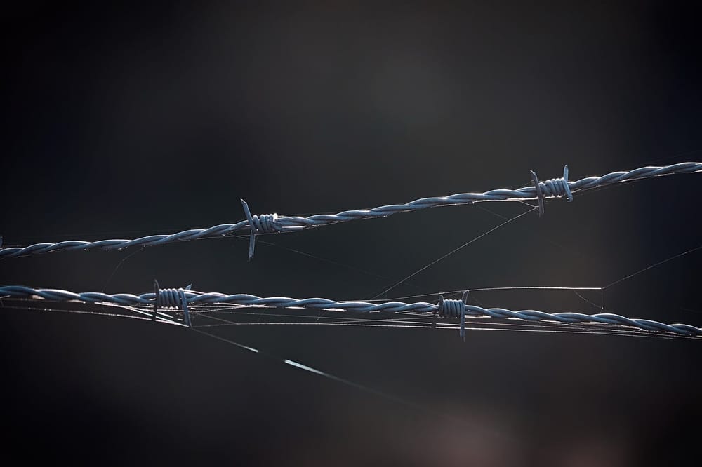 Si u zbuluan dy raste të kontrabandës me drogë në pikën e Vërmicës?