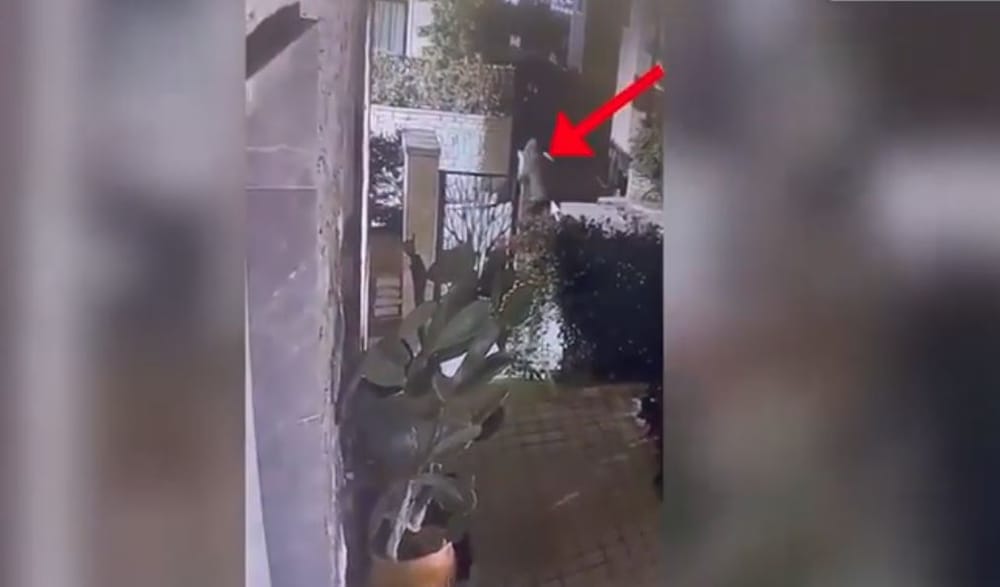 Si u kap në flagrancë 53-vjeçari që tentoi të grabiste banesën në Farkë?