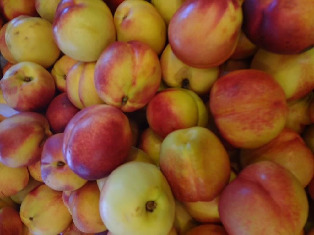 Çfarë vlerash ushqimore dhe kurative ka fruti i nektarinës?