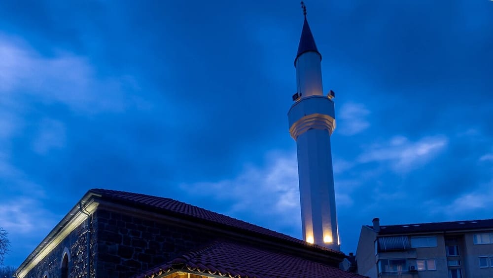 Konjufca: Mërgata shqiptare nuk lindi nga dëshira, por nga dhuna e dëbimi