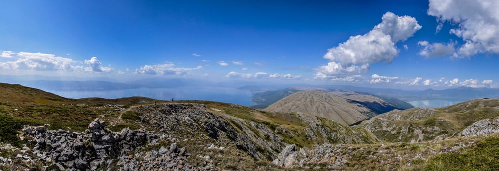 Ku u sulmua 41-vjeçari me ari ndërsa mblidhte kërpudha në Resen?
