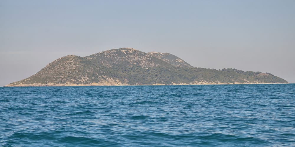 Kush u takua Atdhe Gecin në Vlorën poetike të qershorit?