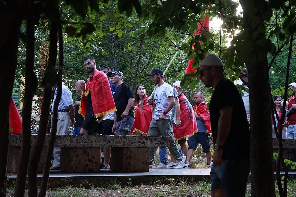 Pata: Pas 'Flamingo Revolution' fshihen interesa të huaja politike
