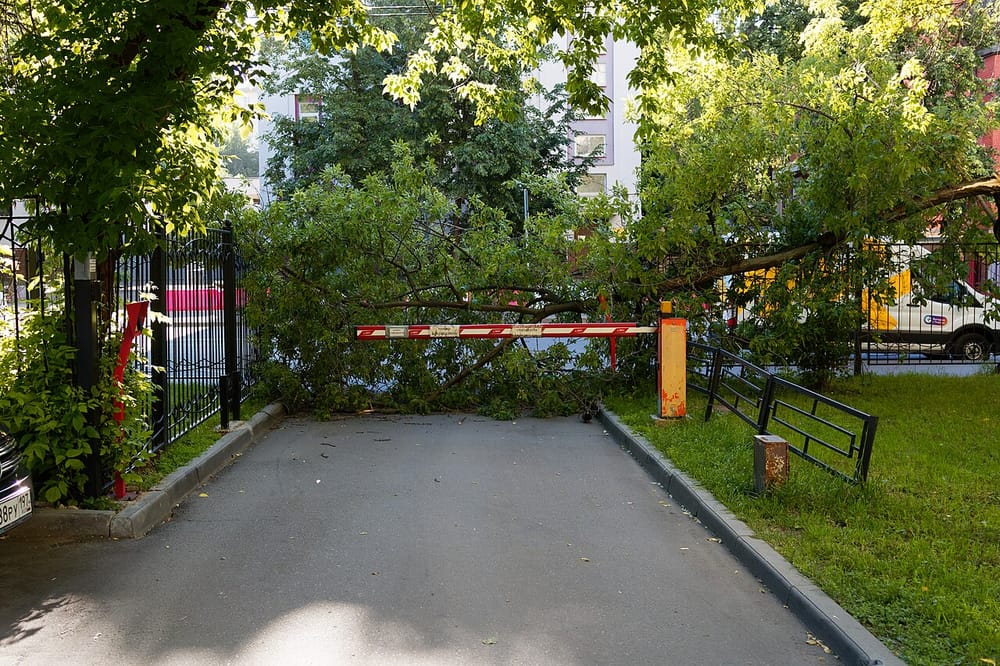 Rrugët e Shkupit mbeten të bllokuara dy ditë pas stuhisë