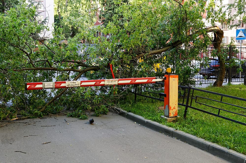 Shkupi ende i mbushur me degë e mbeturina, një javë pas stuhisë