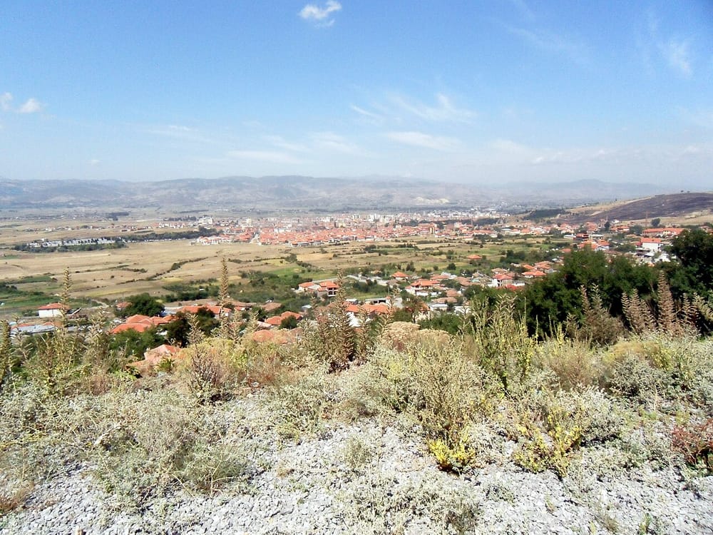 Stuhia dëmton të mbjellat në Devoll — rrëzohet pema në Korçë