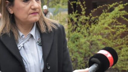 Pse LSDM-ja kundërshton votimin elektronik të diasporës në Maqedoninë e Veriut?