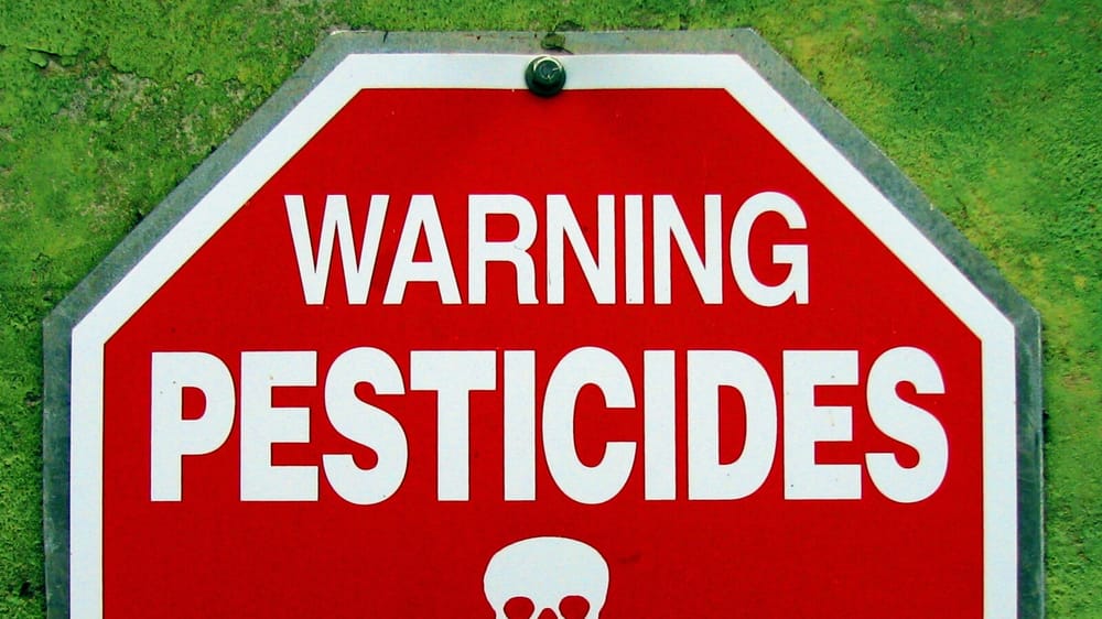 Pse janë frutat dhe perimet me përqendrim të lartë pesticide?