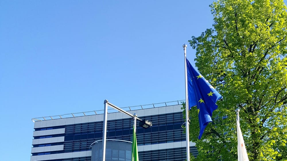 Pse punëtorët e 'Vitës' iu përgjigjën me duartrokitje ironike inspektores?