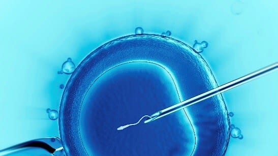 Kush mbrohet nga paragjykimet pas deklaratës për IVF?