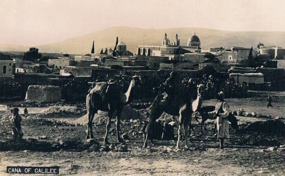 Çfarë rrezikon ethet e Nilit Perëndimor?