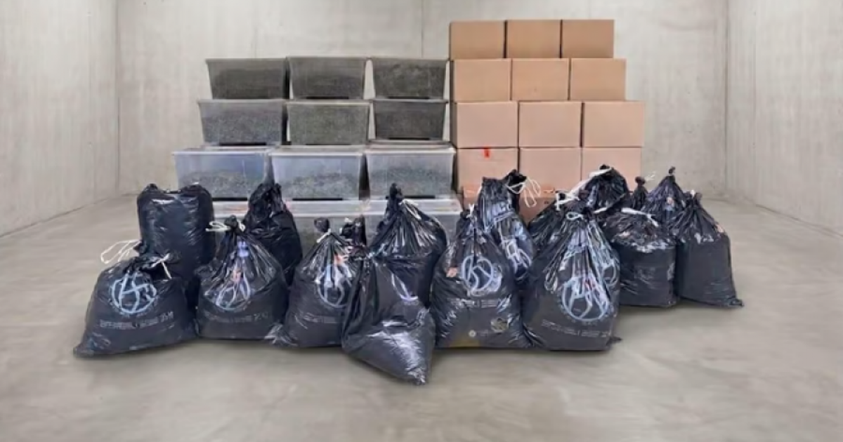 Sekuestrohen mbi 1.1 ton kanabis në Zvicër, në pranga dy persona
