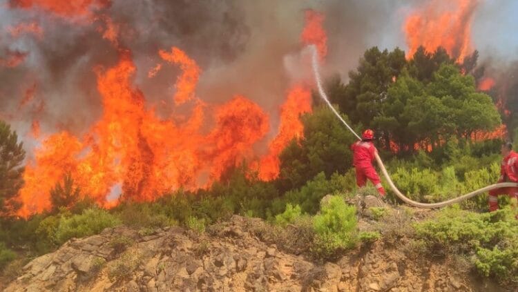 Mali i Dajtit mbetet problematik ndërsa pesë vatra zjarri janë aktive