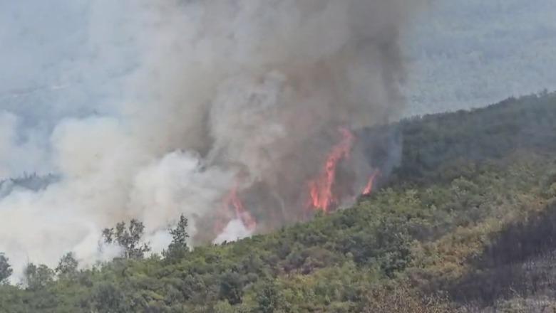 Policia e Bulqizës identifikon autorin e dyshuar të zjarrvënies në Vajkal