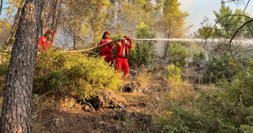 Ministria: 11 vatra zjarri aktive nga 29 të raportuara në 24 orë