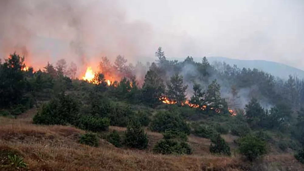 Zjarret e verës po ndotin ajrin dhe rrezikojnë shëndetin