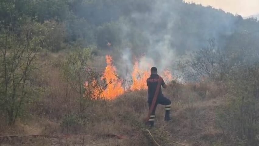 Situatë kritike nga zjarret në Ulëz të Matit