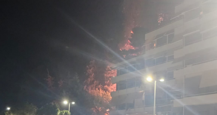 Zjarr pranë tunelit të Ujit të Ftohtë përfshin pisha dhe rrezikon hotele