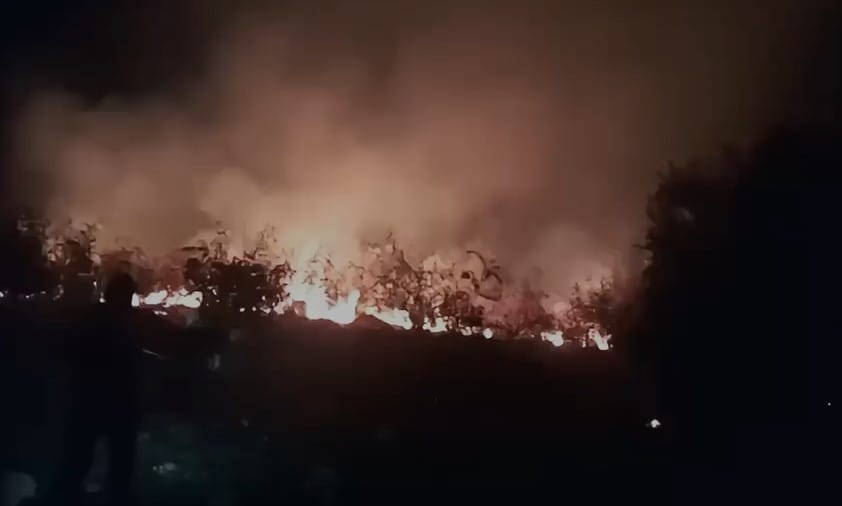 Pesë vatra zjarri mbeten aktive; 35 raste të raportuara në 24 orë