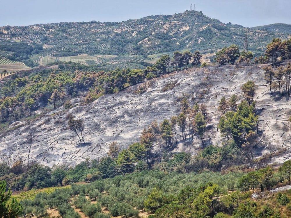 Zjarret dhe rreziqet klimatike në Shqipëri deri në vitin 2050
