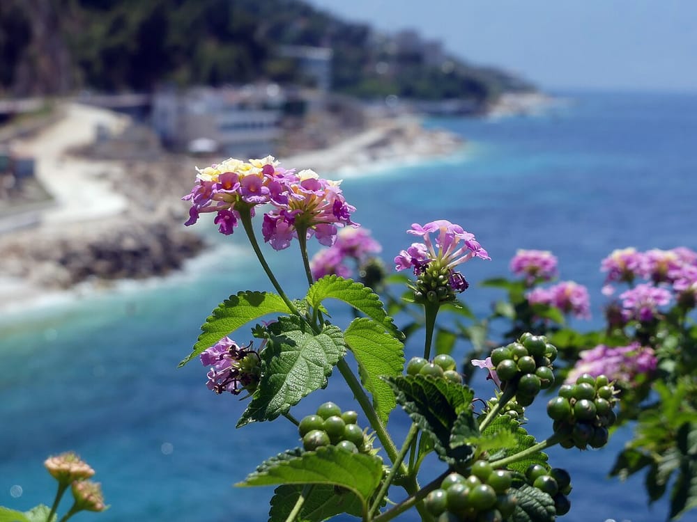 Ambasada gjermane falënderon emergjencat për shpëtimin e 4 turistëve në Vlorë