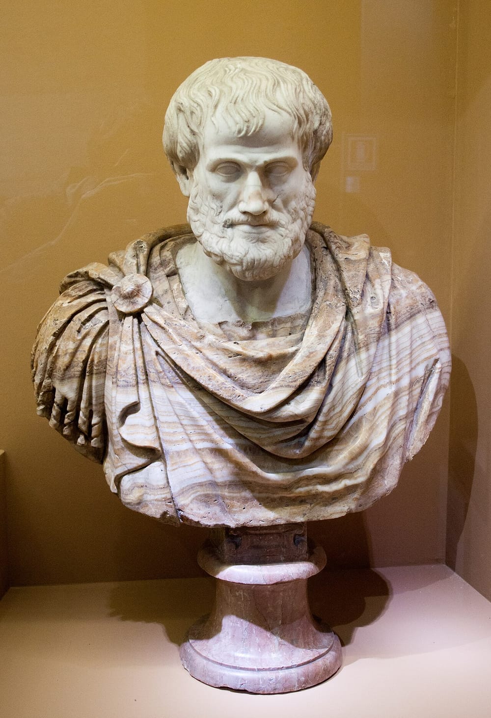 KultPlus shfaq 22 thënie të Aristotelit