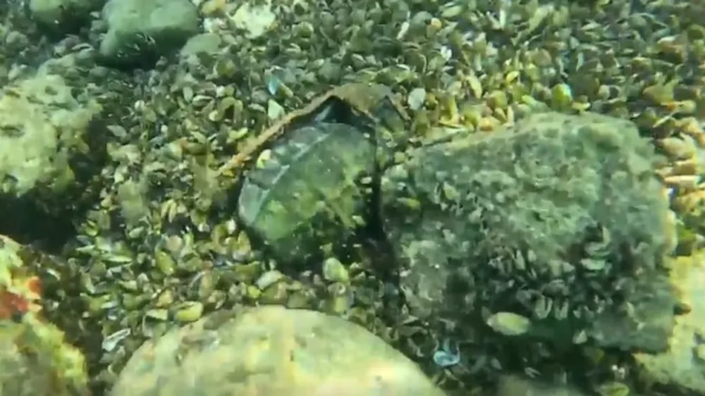 Granatë dore e ish-Jugosllavisë gjendet në lumin Limmat