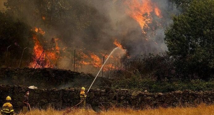 Zjarret në Shqipëri: 23 vatra, 13 aktive, veprimet e forcave
