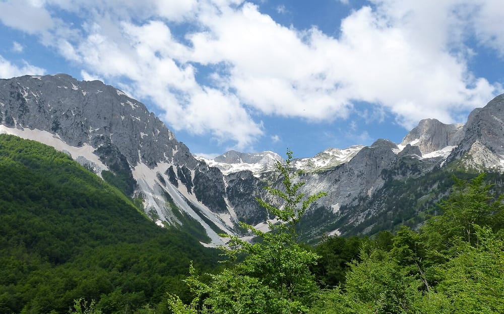 Foto: gailhampshire / Wikimedia Commons · CC BY 2.0