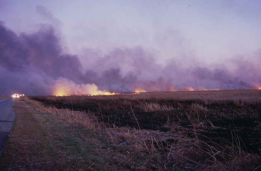 Ilustrim · Wildfire on fields by road (Public domain) / Wikimedia Commons