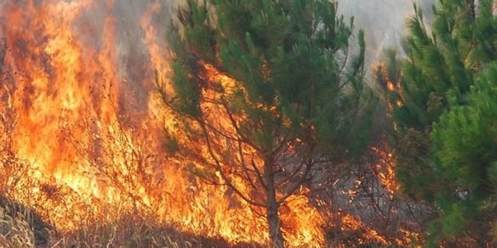 Foto: Telegrafi / telegrafi.com